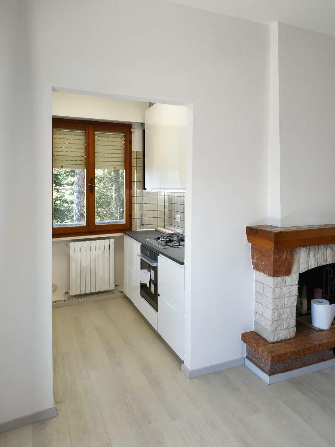 Conero Apartment Castelfidardo Dış mekan fotoğraf