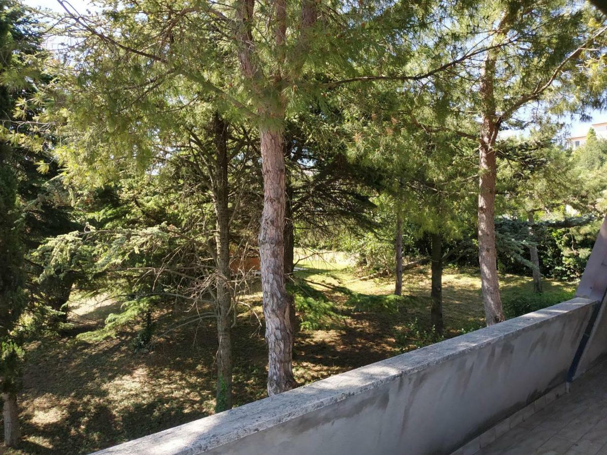 Conero Apartment Castelfidardo Dış mekan fotoğraf